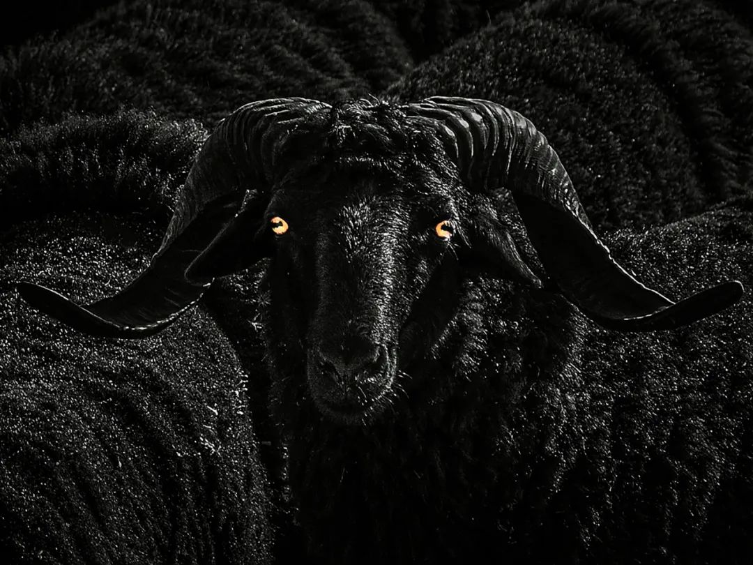 香港第14届全国摄影艺术展,第29届全国摄影艺术展览获奖名单