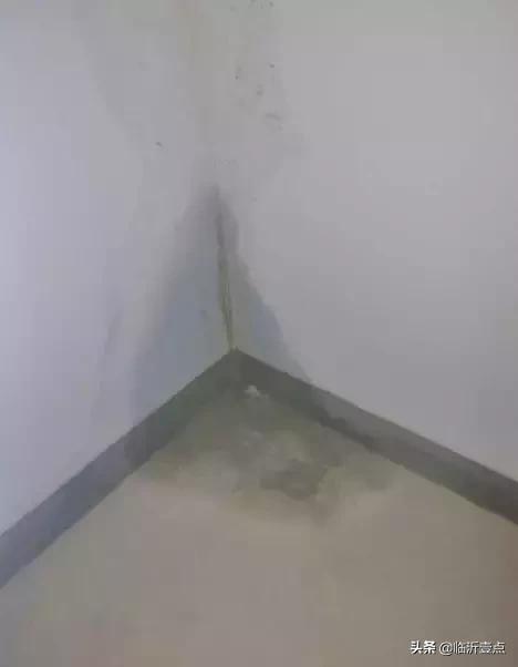 入户门没有门框!卫生间没有排风口…景城花园“好房子”遭吐槽