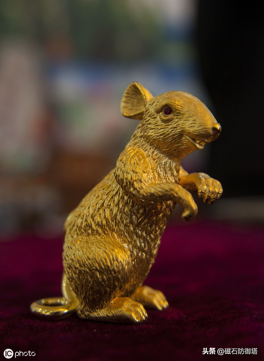 为什么老鼠就那么令人讨厌,盘点那些被人类逼疯的老鼠