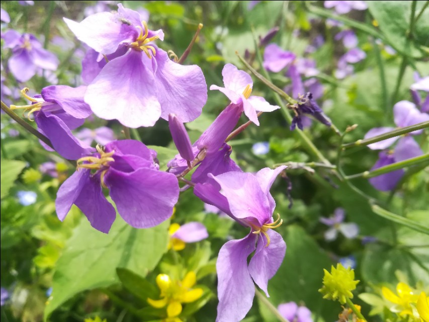 缠绵的雨,缠绵的雨散文