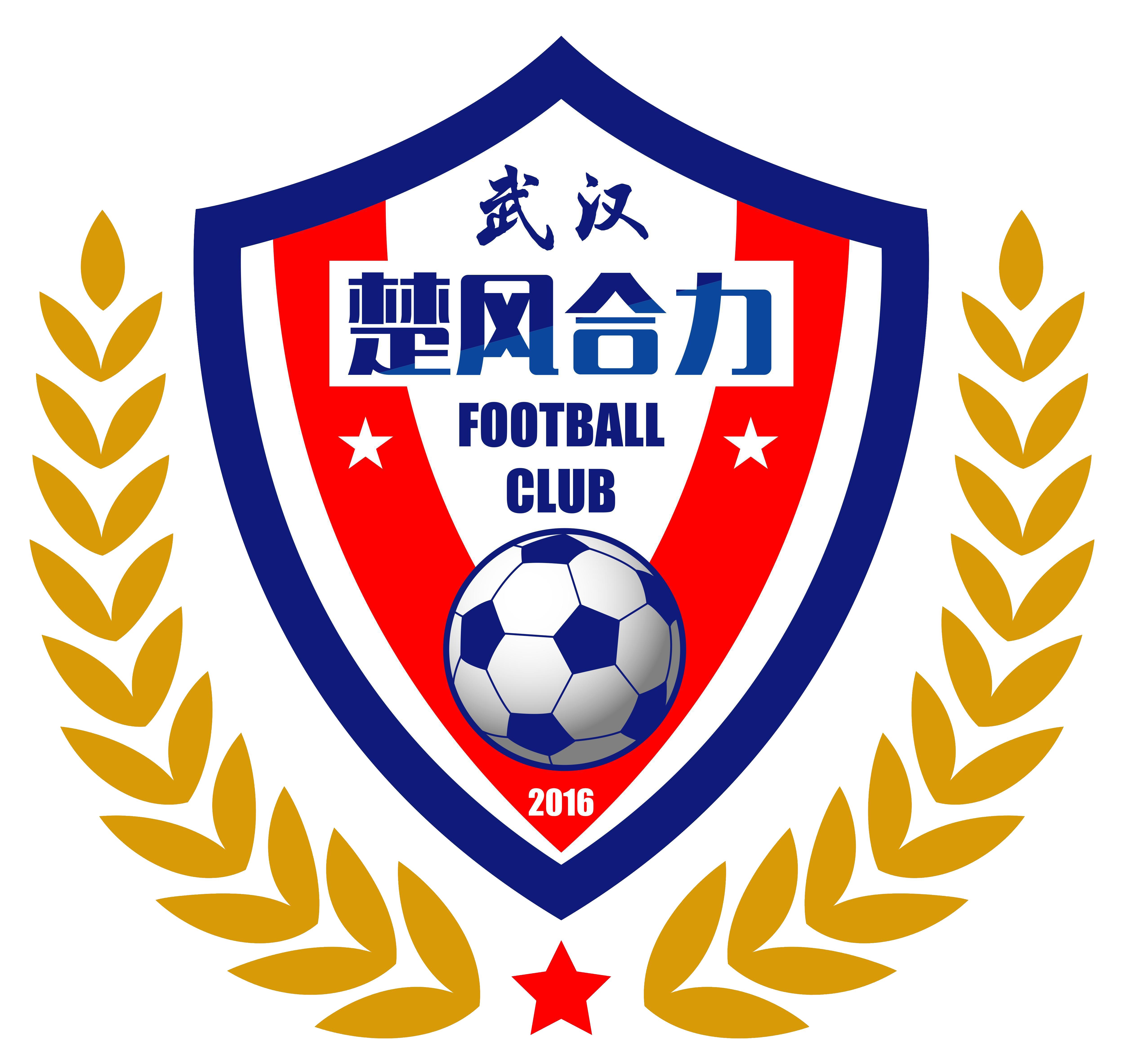 中国足球国家队的队徽变化史,各大足球队队徽盘点