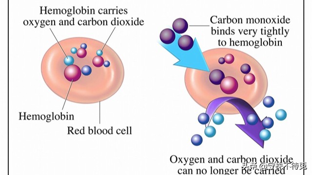世界猎奇知识,世界冷知识科普奇闻异事