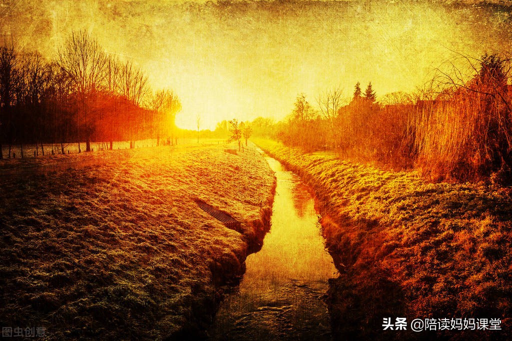 初中语文八上必背,八上语文必背古诗文预习