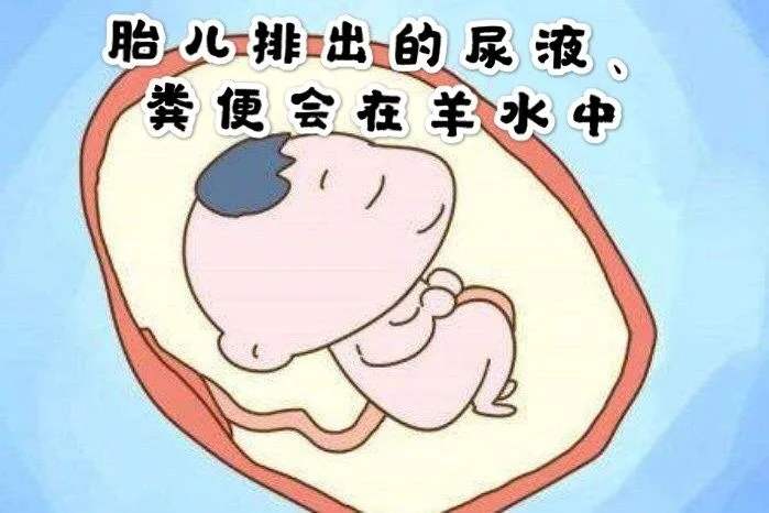 孕期羊水多对宝宝影响,孕期羊水浑浊的危害