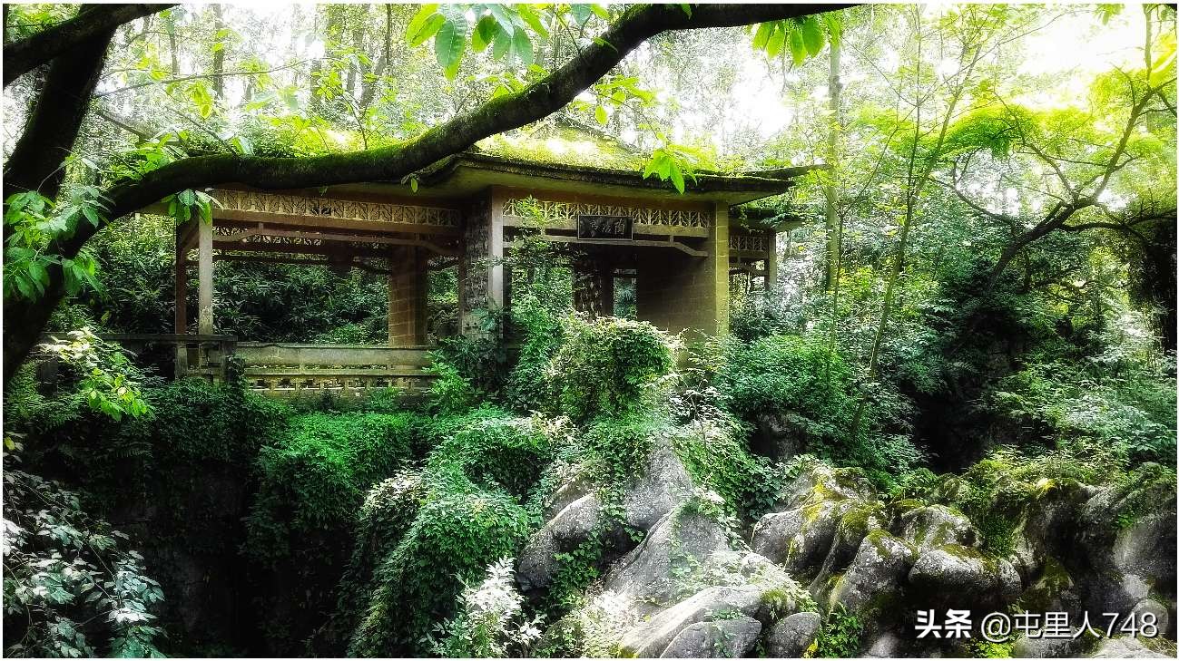 便宜小众旅游景点路线,冷门山林景点