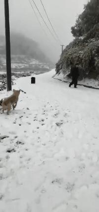 可爱搞笑图片可直接保存,搞笑图片现在的年轻妹纸真会玩啊