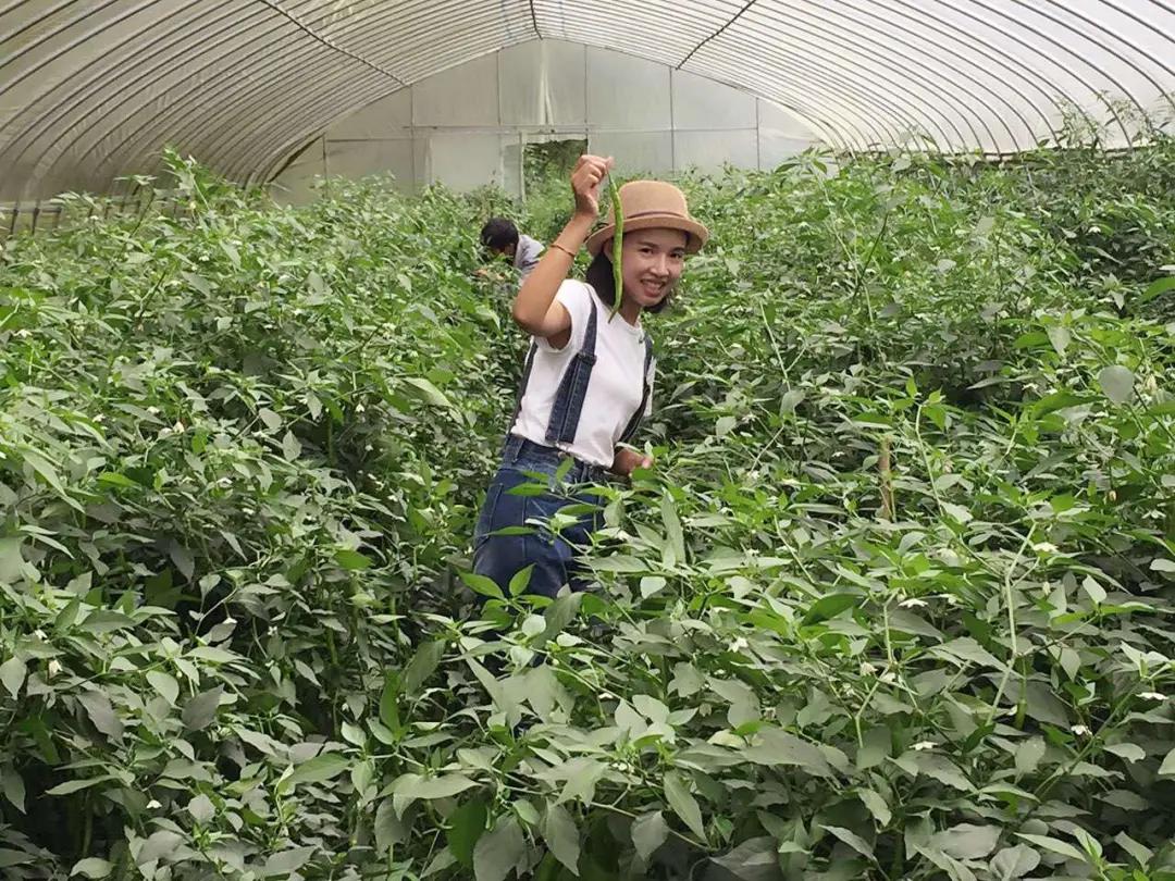 大山里的美女老板：不惧流言种田腌酱菜，一年卖出1000万