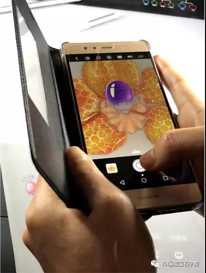 igcse课程怎么学,igi课程培训