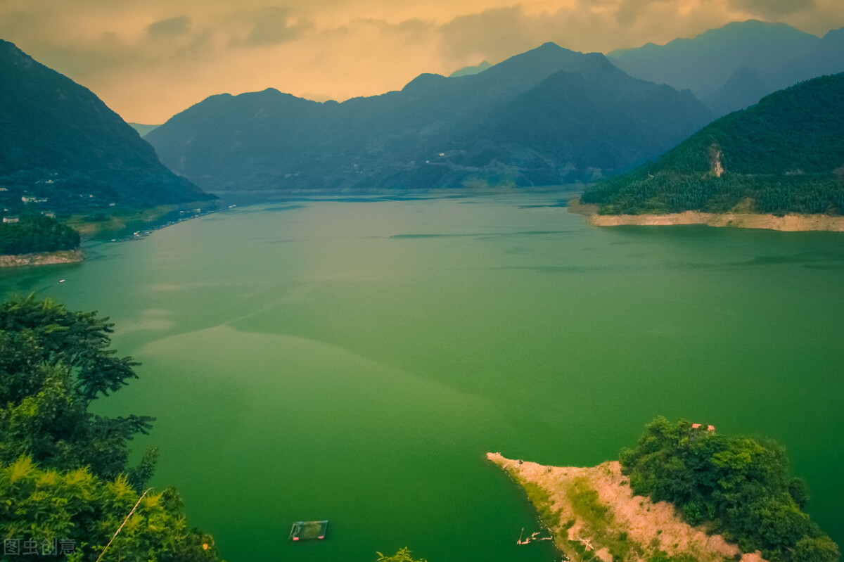 太阳鱼入侵四川哪些区域,太阳鱼能在河流里存活吗