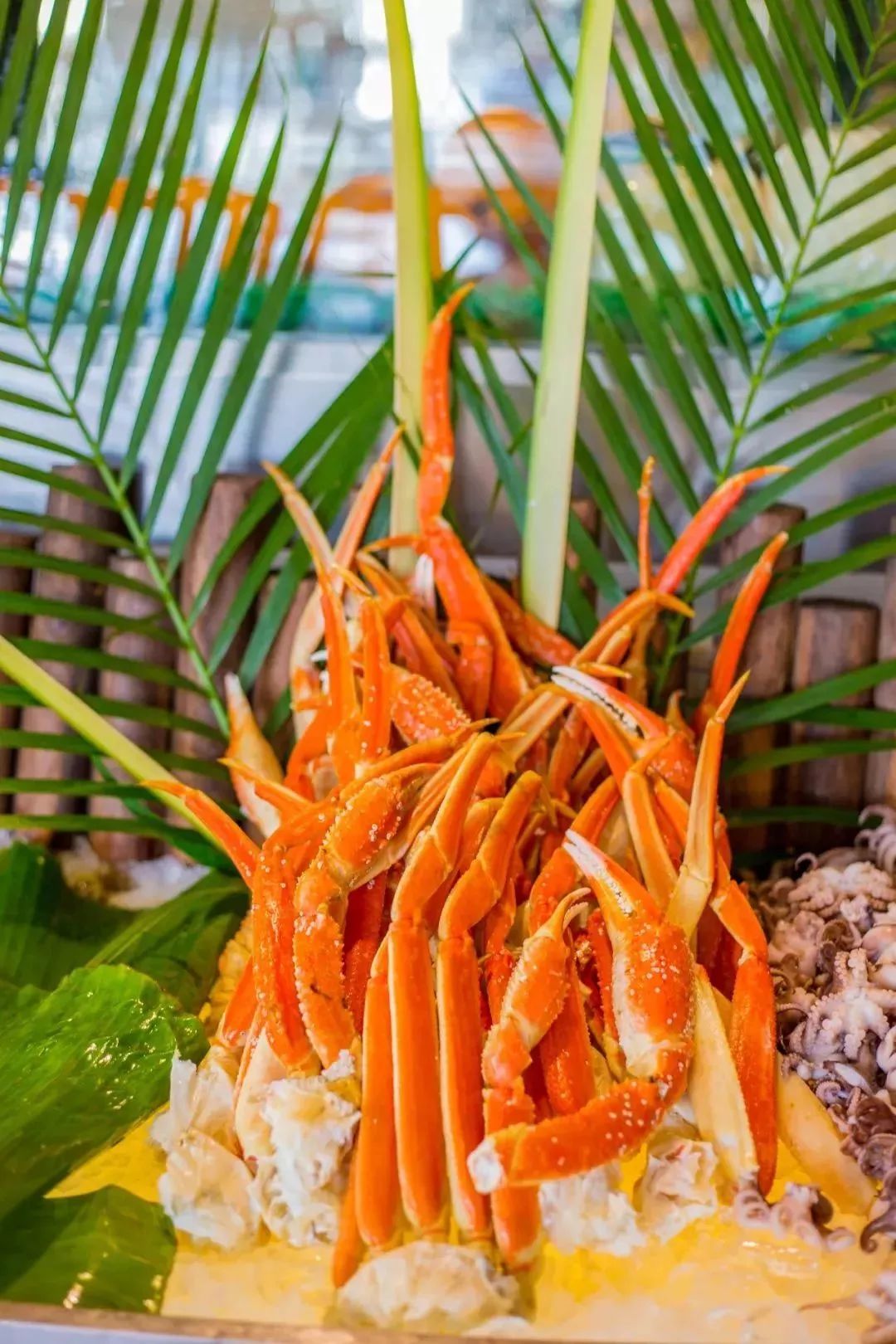 成都海鲜自助餐499元一个,成都生蚝吃到饱自助餐