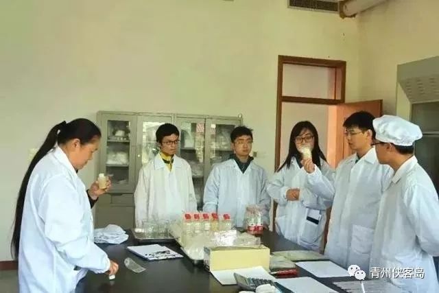 青州甄日菊简介,青州甄日菊