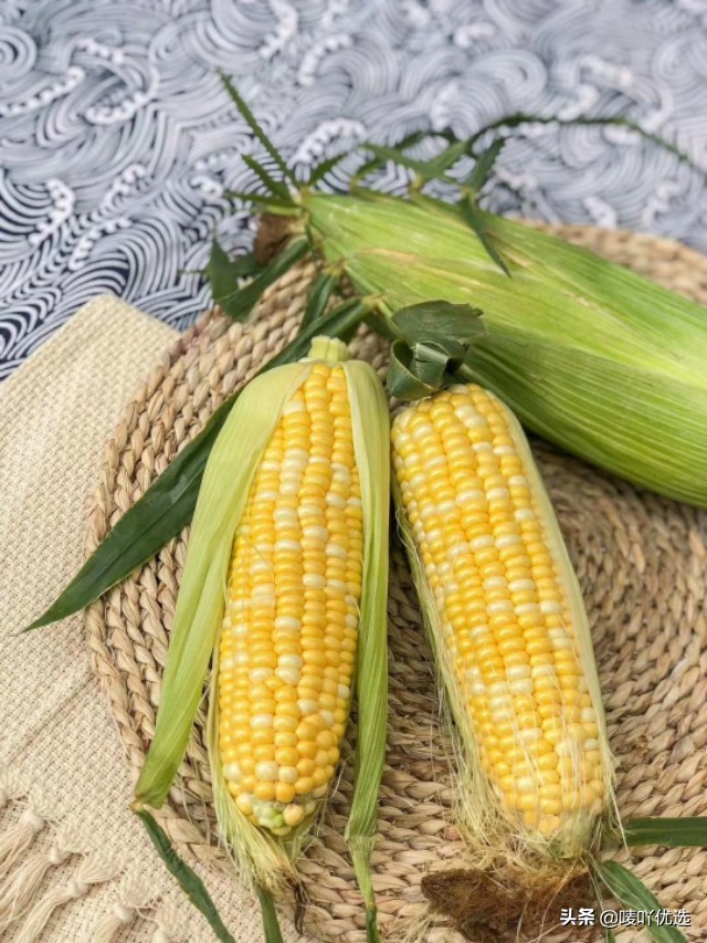 爆浆奶香水果玉米,水果玉米可以直接生吃吗