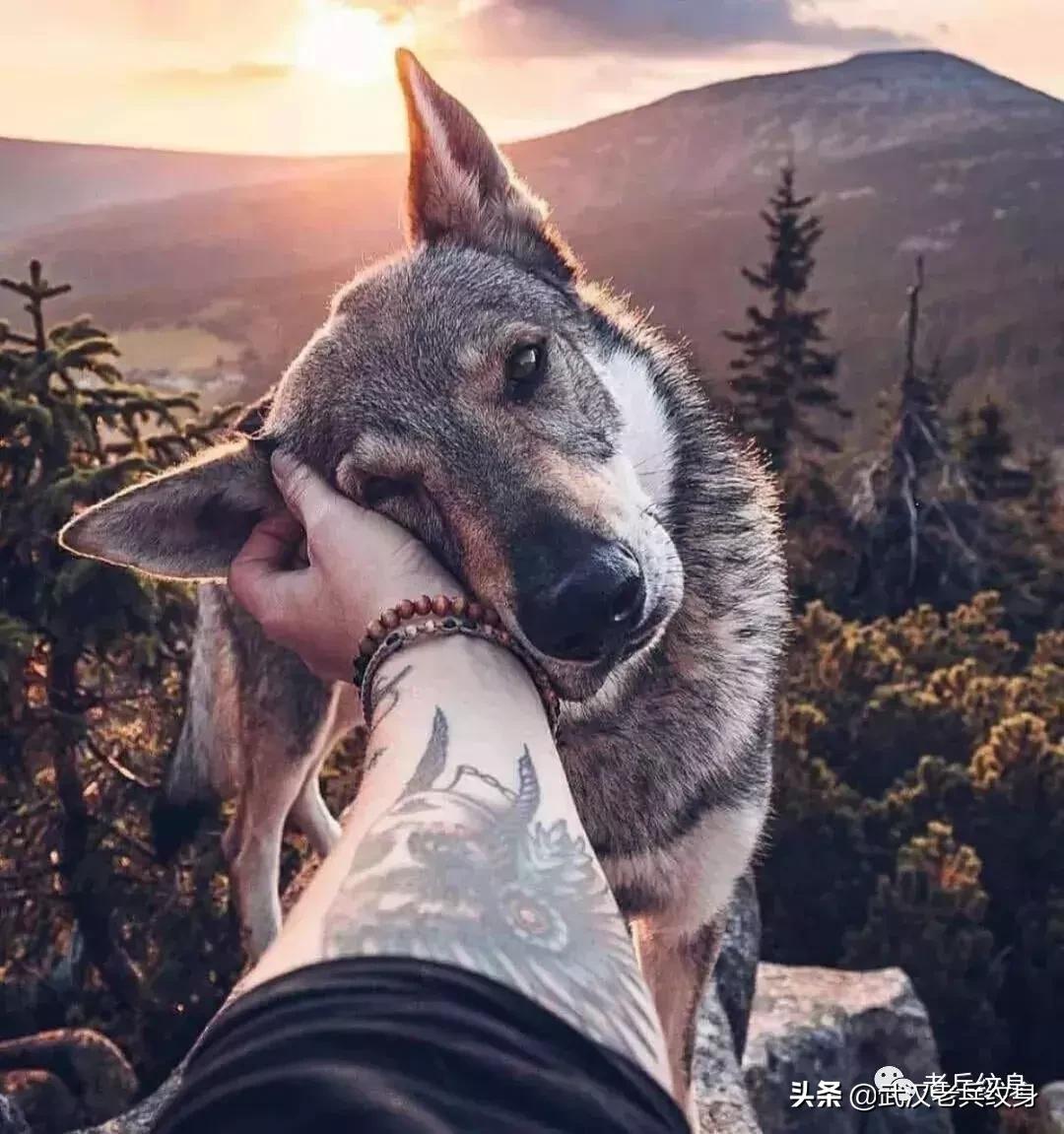 纹身应该注意哪些问题,新手纹身容易出现的问题