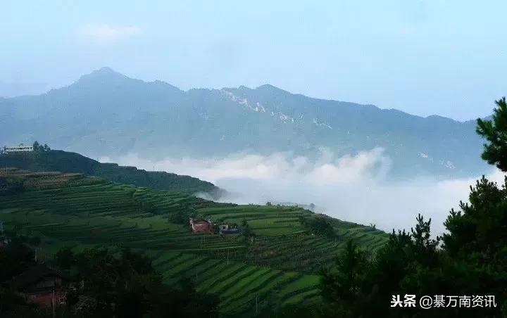 万盛实用电话大全！需要的时候找不到？收藏起来~