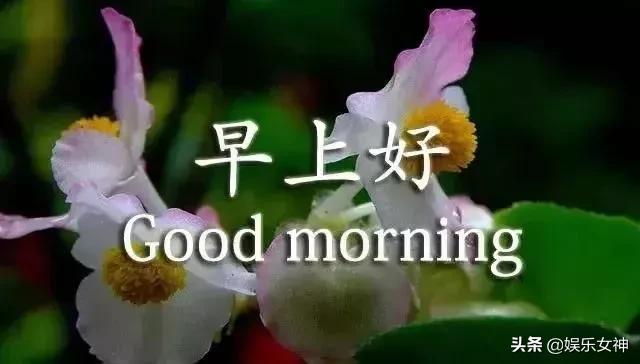 苦才是人生累才是生活图文,苦才是生活累才是工作是谁说的