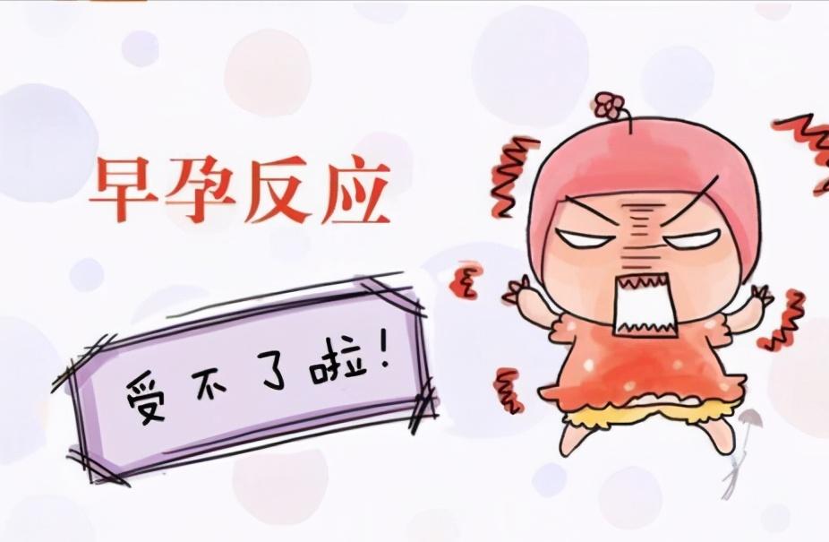 怀孕的基本常识,老婆怀孕老公应该普及的常识