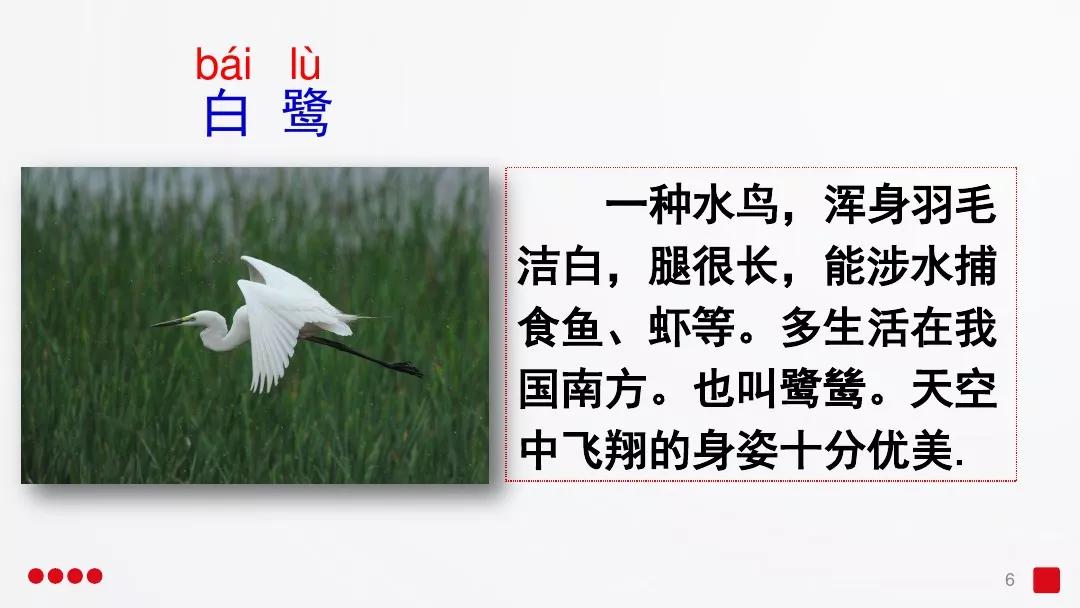 五年级部编版语文白鹭讲课视频,部编小学语文五年级上册白鹭课件