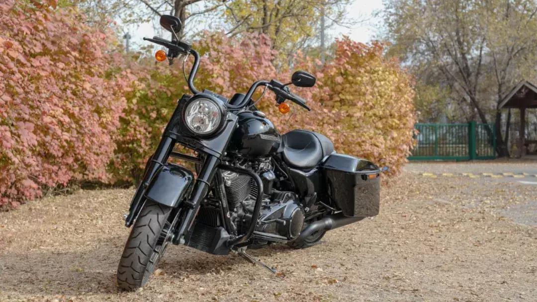 哈雷有几种,哈雷会越来越便宜吗