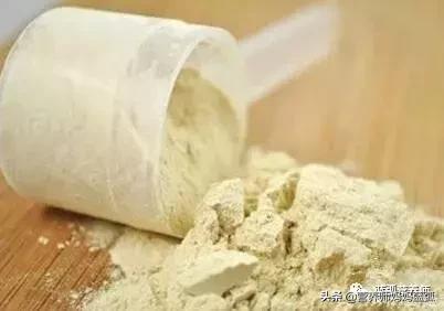 乳清蛋白和乳铁蛋白植物蛋白区别,植物蛋白和乳清蛋白的区别哪个好