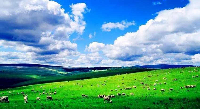 呼伦贝尔好客草原私人牧场,呼伦贝尔著名草原