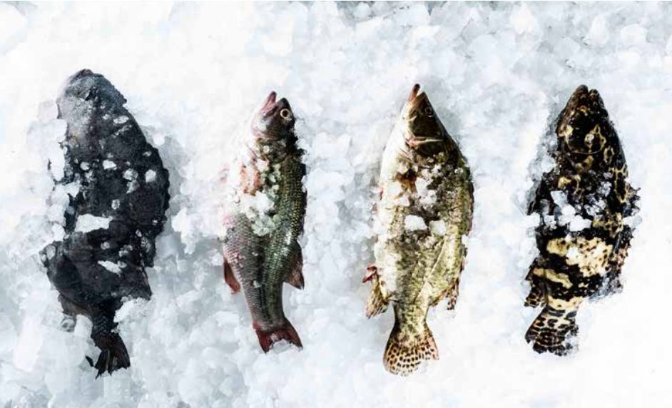 6688元的故宫年夜饭你吃吗,京城老字号成品半成品年夜饭受宠