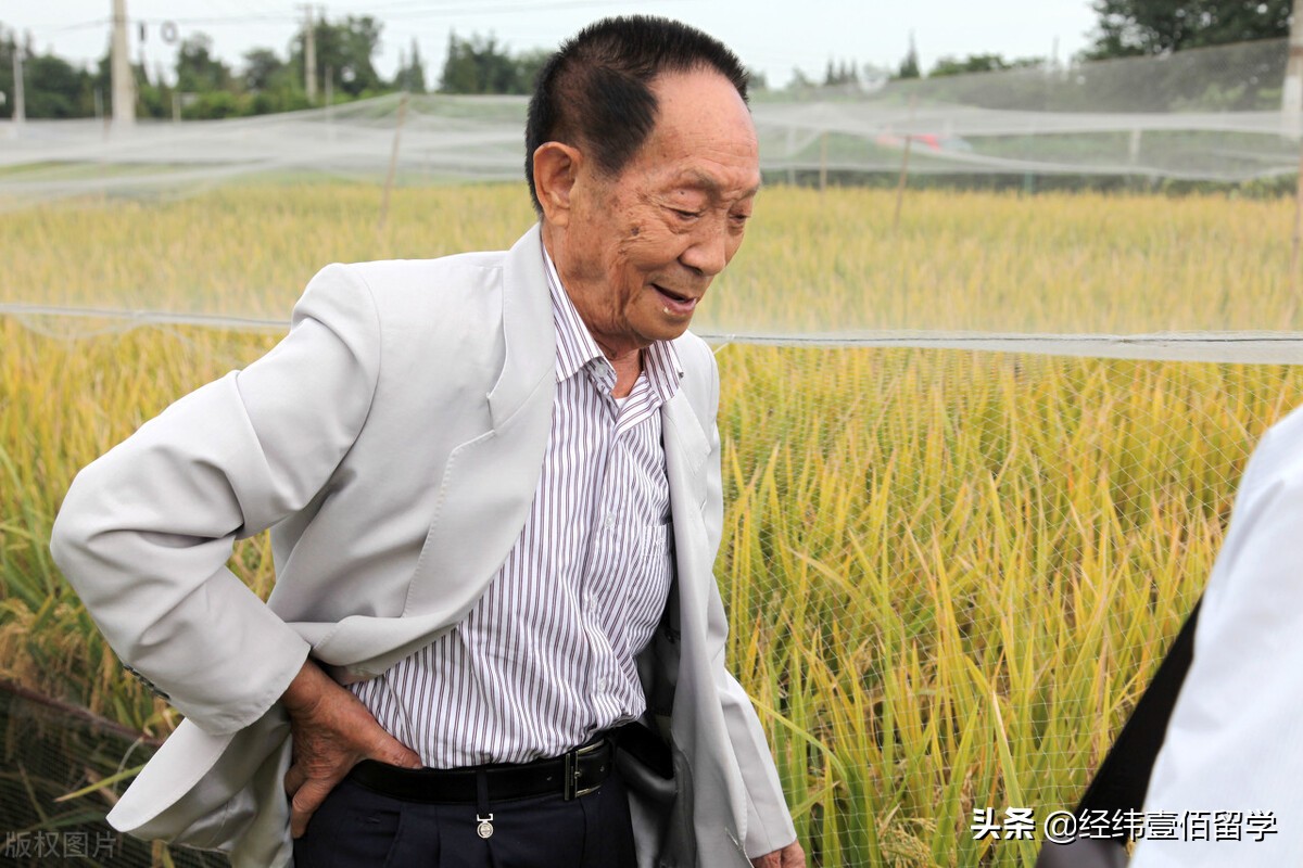 澳门科技大学华为,澳门科技大学和北大合作