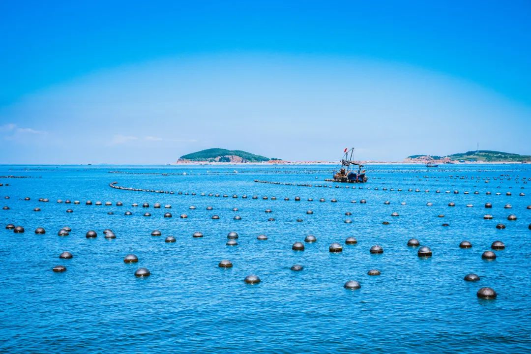 忽然想去旅游了,忽然想去宁波了