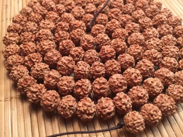 小金刚菩提鉴定视频,小金刚菩提的真假鉴别