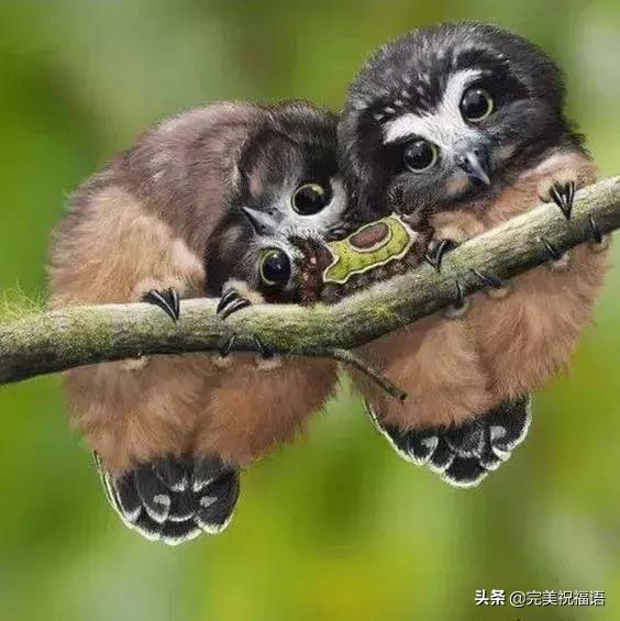 今天2.1，2月第1天，谁编的，太好笑了，给群里乐一乐~