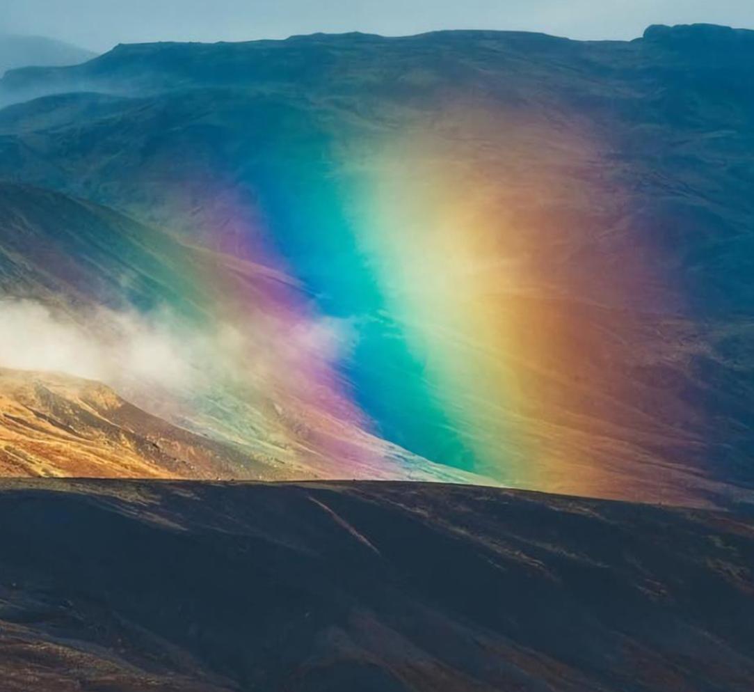 高端狮子和低端狮子,前期狮子和后期狮子