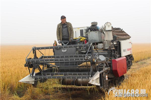 洋马收割机怎么跨省作业,洋马跨区联合收割机