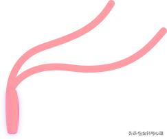 多少人都败在盲目勤奋,一事无成不是败于懒而是亡于忙