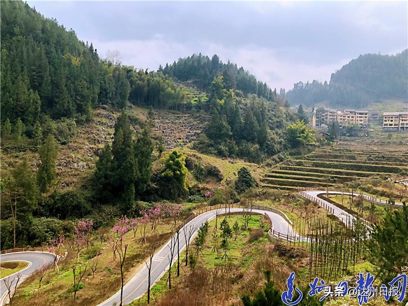 一路有四季，十里不同天，宣汉“三墩乡大窝村村道”获评首届“全国美丽乡村路”
