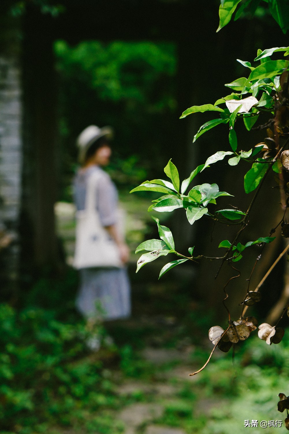 桂林阳朔旅游攻略一天半,最详细桂林阳朔旅游攻略