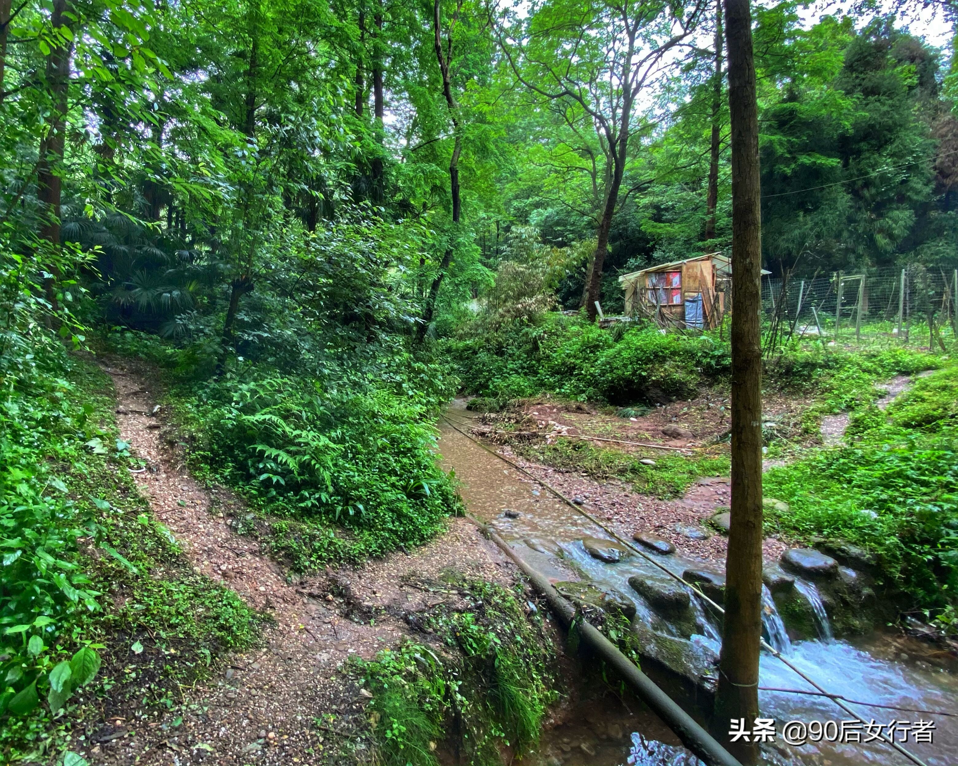 探寻青城山,探秘青城山神仙洞怎么走