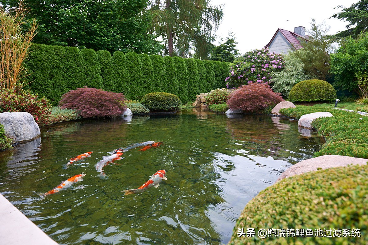 一个强大的过滤系统,一个过滤系统带多个鱼缸