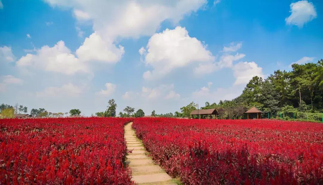 中秋优惠团购景区,团购石象湖门票