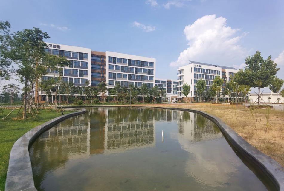 青岛幼儿师范高等专科学校管理,青岛幼儿师范高等专科学校官网