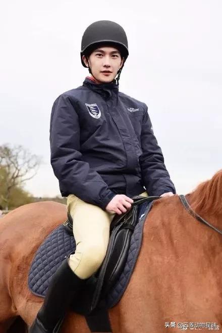 必备的马术知识,马术能不能速成