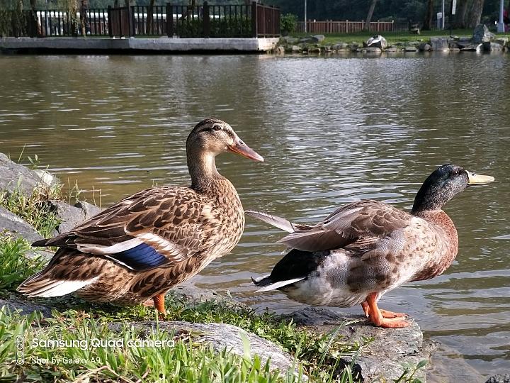 三星galaxya9s拍照,三星galaxya9开箱评测