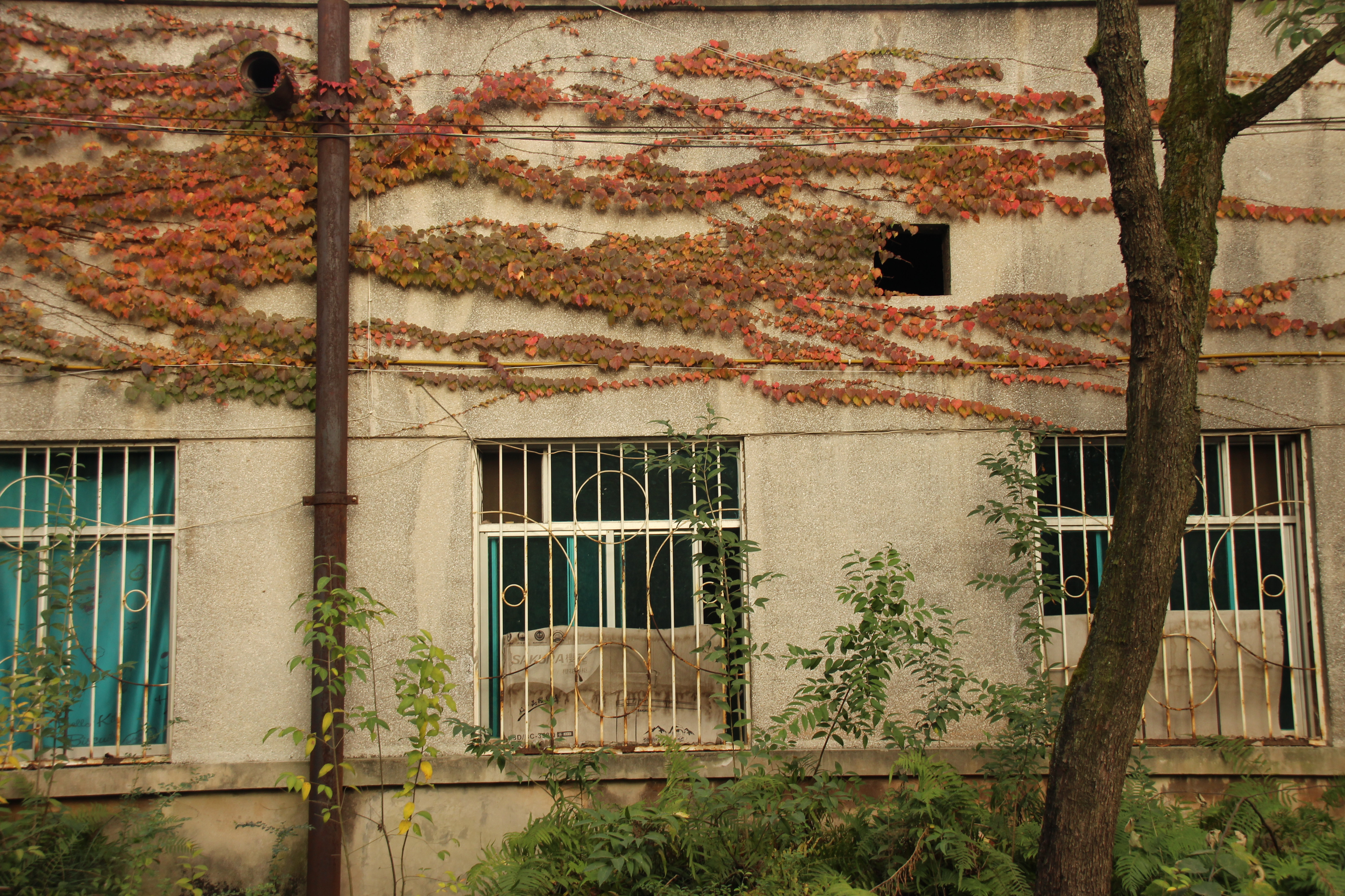 贵阳小河轴承厂棚改最新情况,贵阳轴承厂宿舍拆迁最新消息