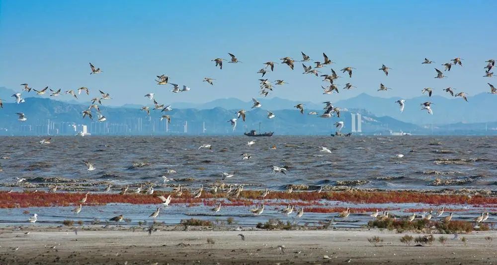 生态环境的巨大变化,营口的百年巨变