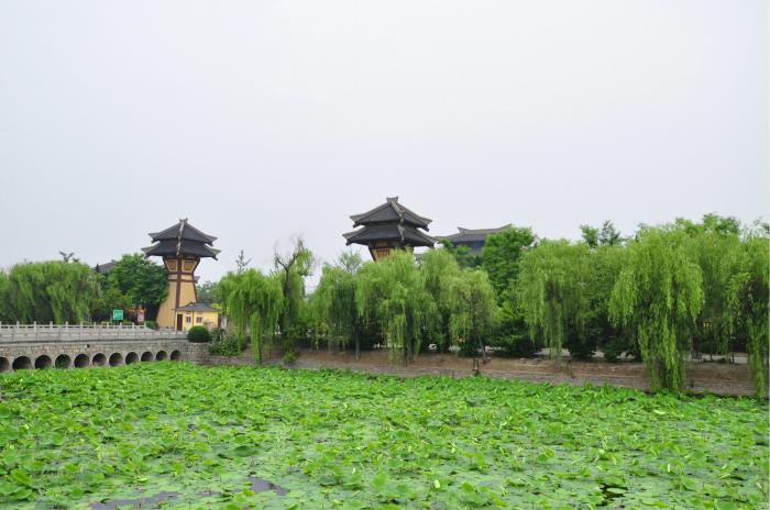 沛县最有潜力的县,江苏沛县百强县