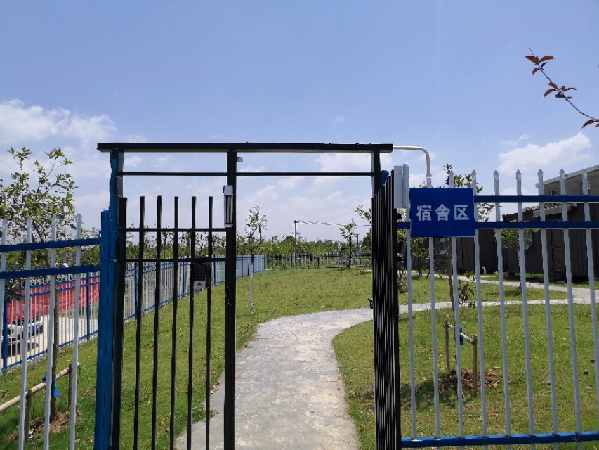 考研怎么样背书效率最高,21考研有多难