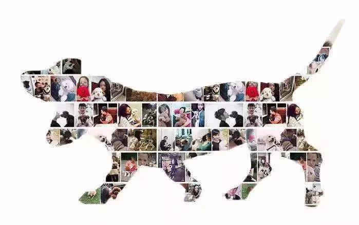 承包你一整个夏天的鞋,承包一整年的衣服