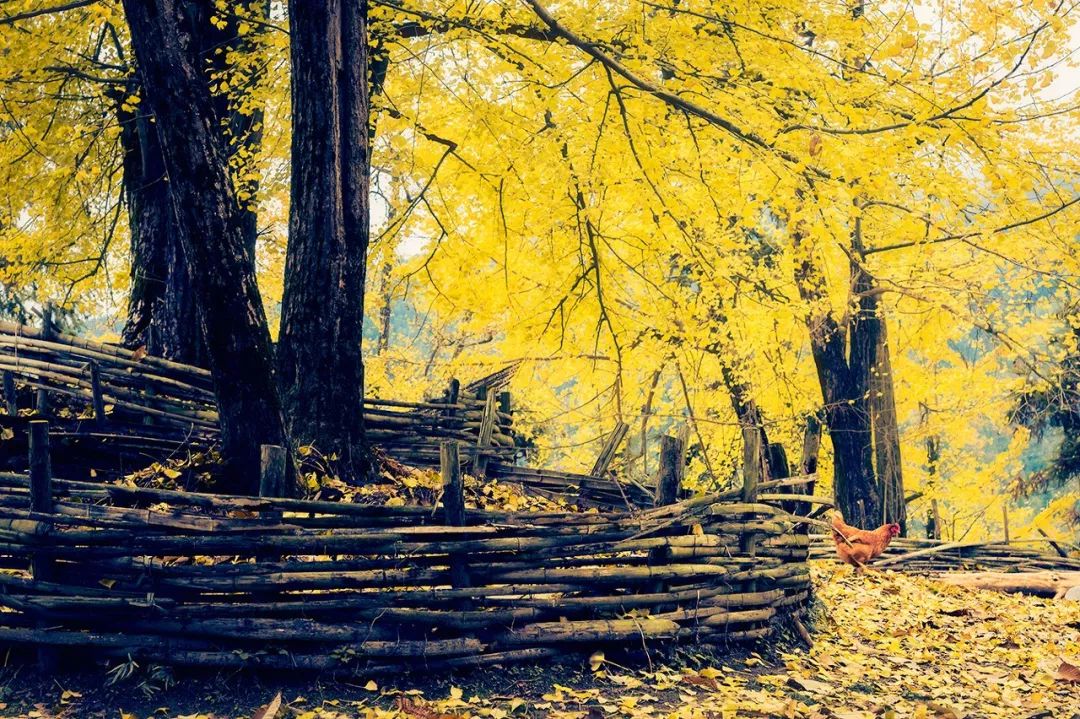 20岁一个人必去旅游的地方,20个旅行城市