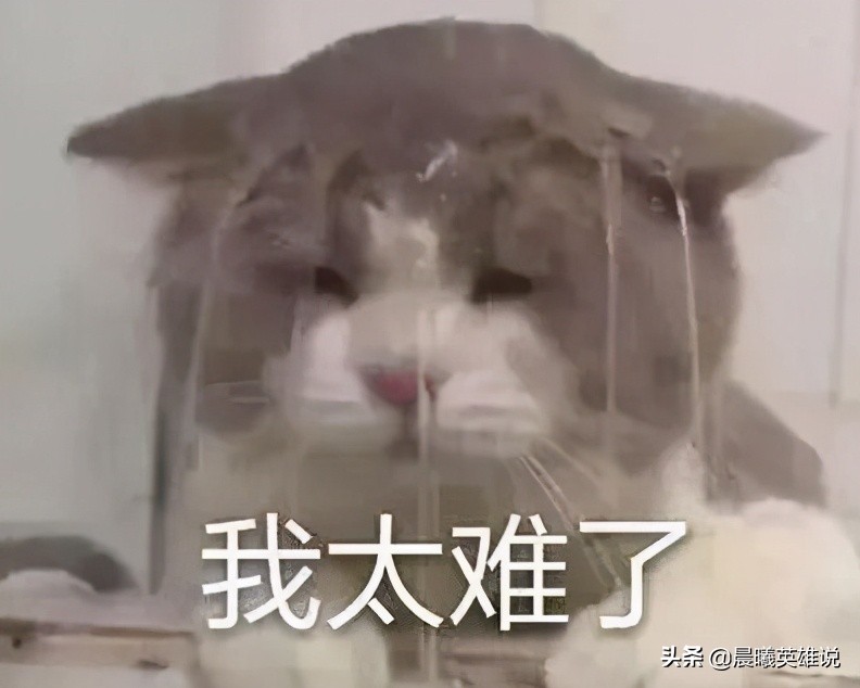 当你非常后悔的时候怎么办,当你感到困惑迷茫时怎么做