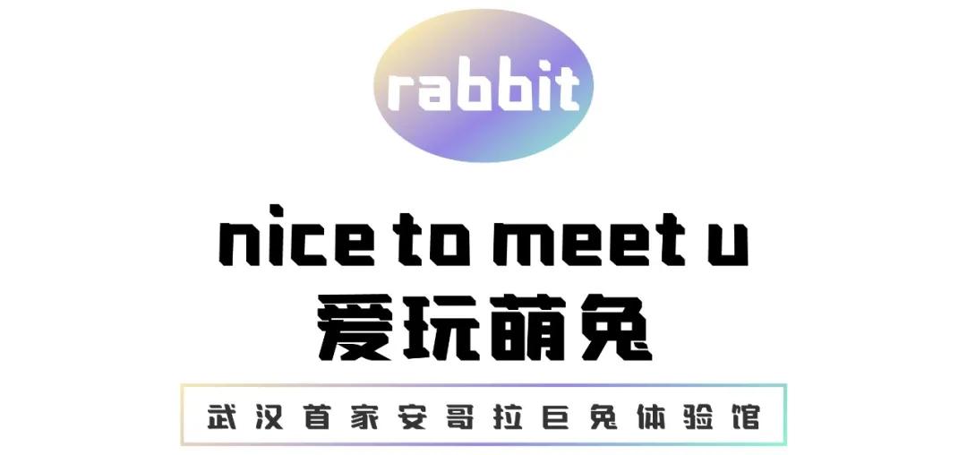 汉口宝藏,4家宝藏店铺