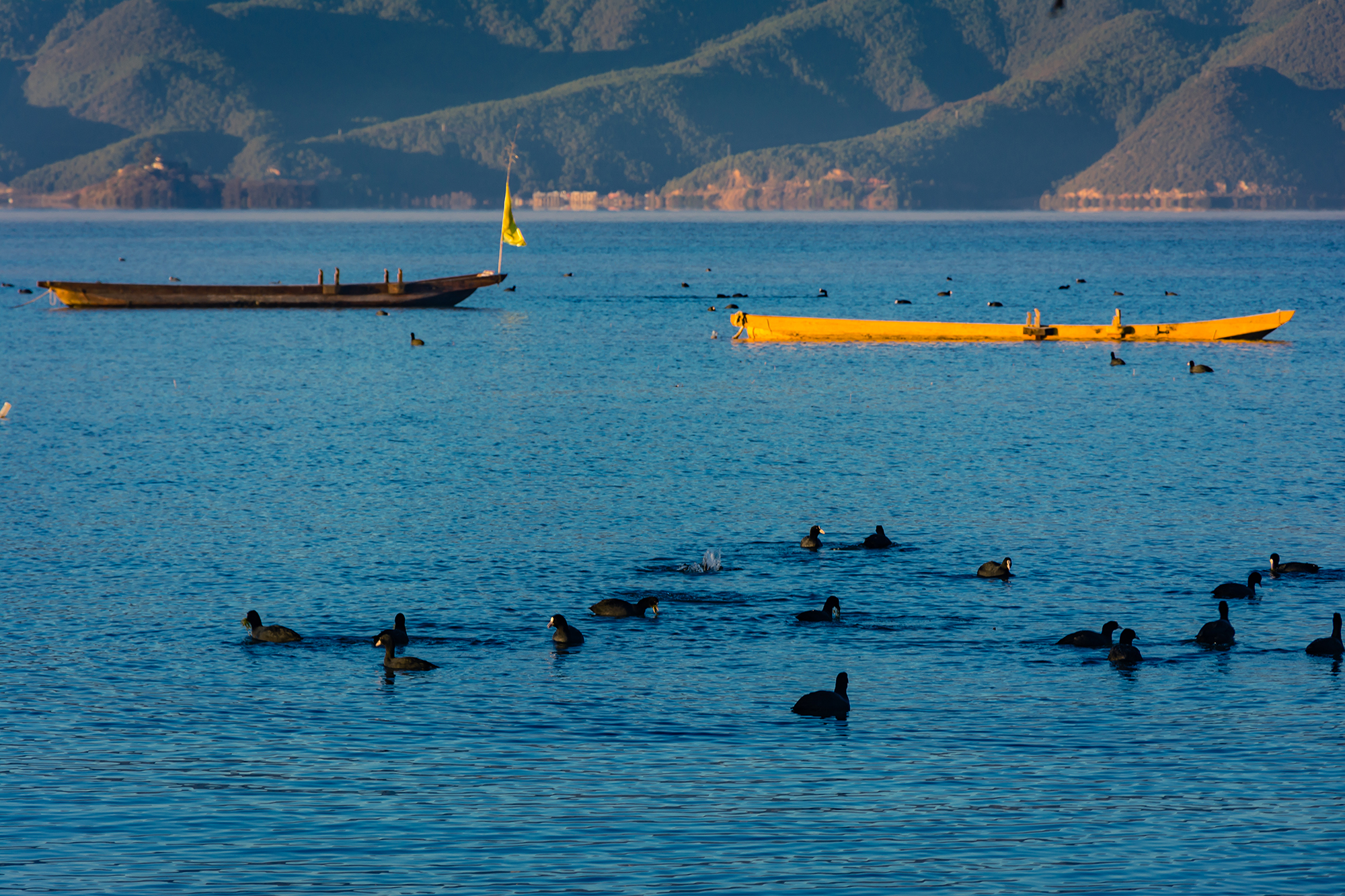 旅游攻略泸沽湖自由行,如何玩转泸沽湖