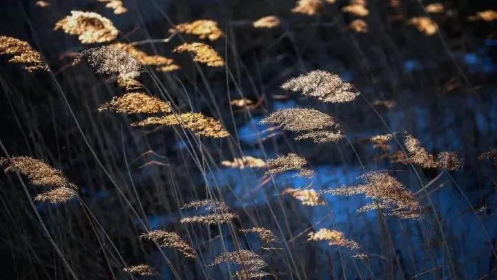 秋天杭州冷门但好看的景点,杭州赏秋景最好的地方